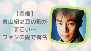 年の記事一覧 ジャニヲタすぎて家族に引かれる母ブログ