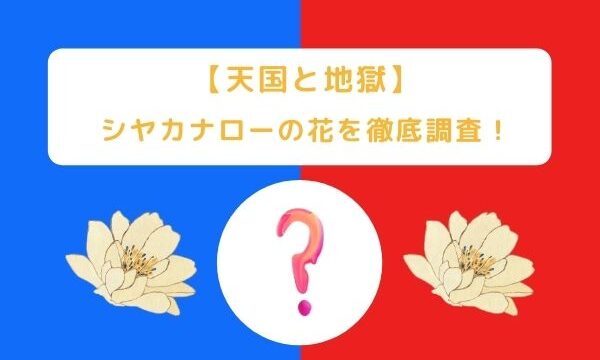 芦名星と三浦春馬が共演したドラマのあらすじは ブラッディマンデイ相関図をチェック ジャニヲタすぎて家族に引かれる母ブログ