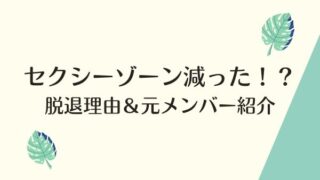 セクシーゾーンのリーダーは誰 メンバーみんな画像で紹介 ジャニヲタすぎて家族に引かれる母ブログ