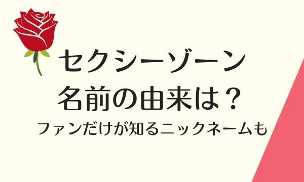 セクシーゾーンの名前の由来は ファンだけが知るニックネームも ジャニヲタすぎて家族に引かれる母ブログ